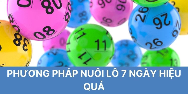 Phương pháp nuôi lô 7 ngày hiệu quả